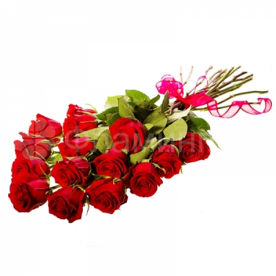 Розы код 588 Преподнести в подарок букет из красных роз – традиционный и всегда эффектный способ признаться в любви! Цветочная композиция из пятнадцати роз станет замечательным, трогательным подарком для Вашей любимой по любому случаю. Классическая красота ярких красных роз никогда не оставит равнодушным и обязательно вызовет улыбку у получателя! Пятнадцать роз
